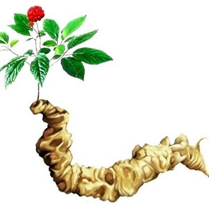 Banner abum ảnh